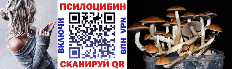 купить наркотик  Рассказово  Псилоцибиновые грибы Cubensis 
